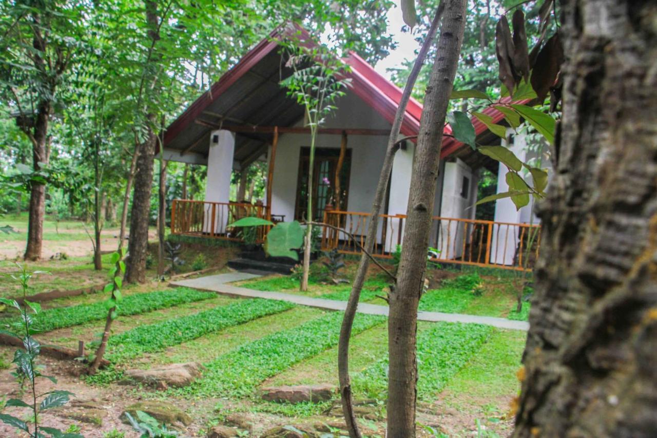 Victory Villa Sigiriya Exterior photo